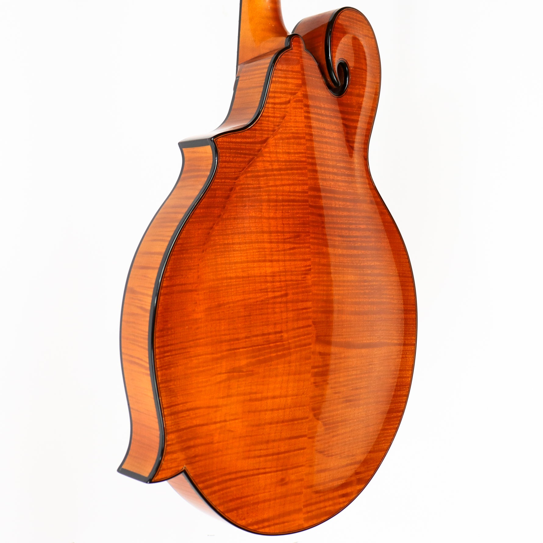 Monteleone 1992 Mandola Round Sound Hole, made for Elizabeth Taylor #159 - Image 4