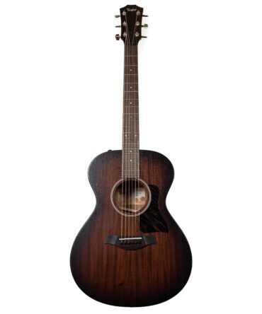 Taylor AD22e