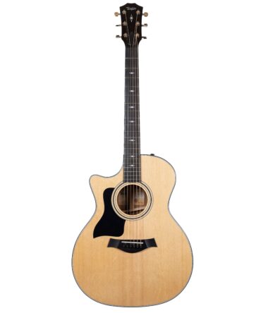 Taylor 314ce Lefty