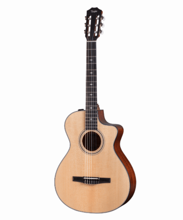 Taylor 312ce-N