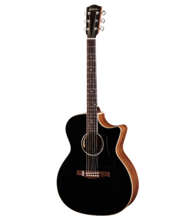 Eastman PCH2-GACE Natural