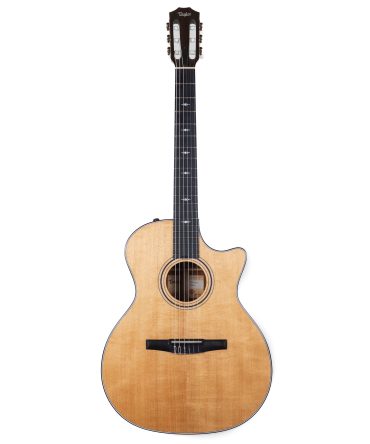 Taylor USED 2023 314ce-N