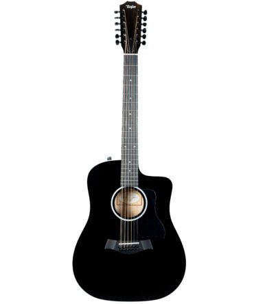 Taylor 250ce-BLK DLX
